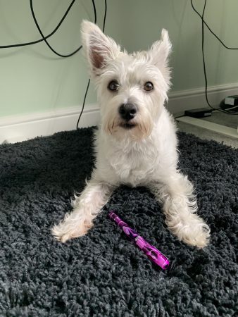 Millie modelling the Narwhal pen