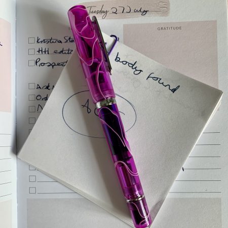 Narwhal fountain pen on my diary and book notes