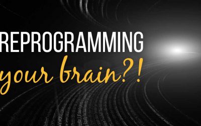 Can You Reprogramme Your Brain for Success?