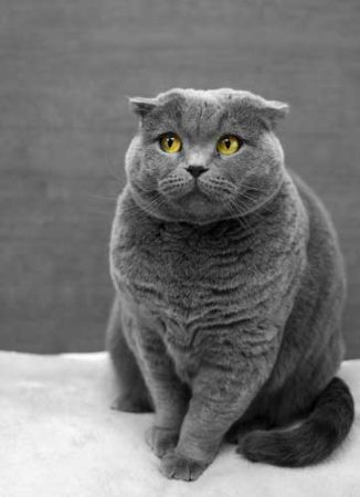Save the Cat moments help to humanise even the most horrible of characters.