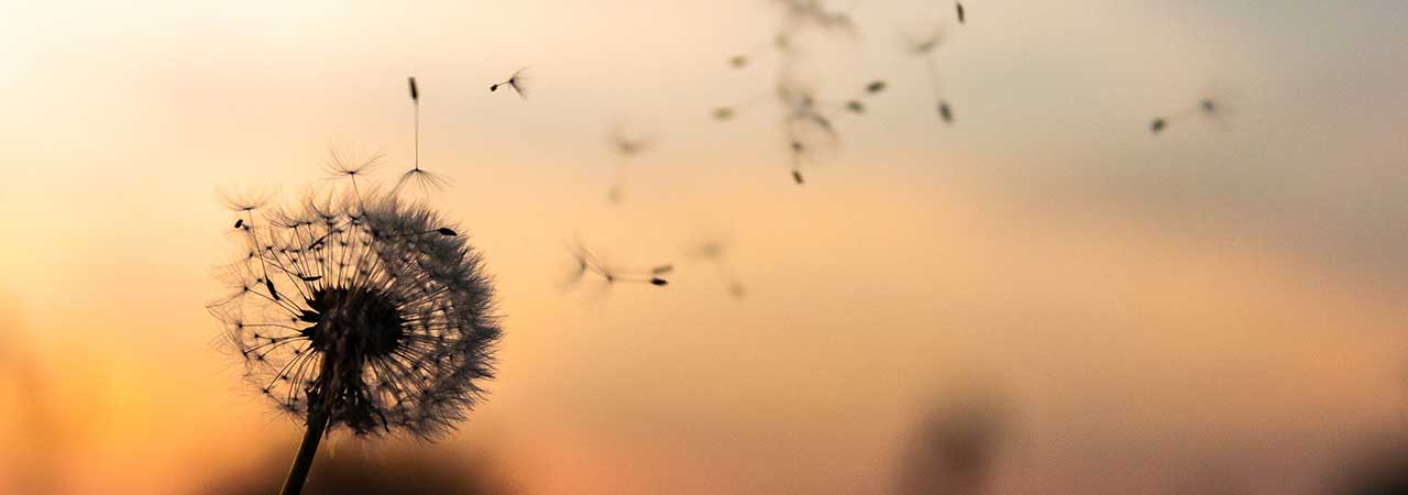 The Elusive Art of Writing Confidence (And How to Build Yours)