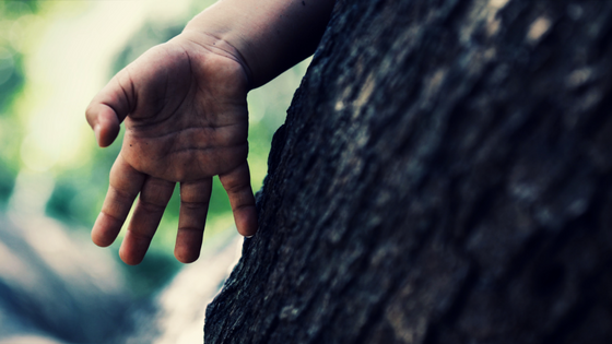 The Ruby Tree is a story told by drut'sylas, about a tree that traps unborn souls.