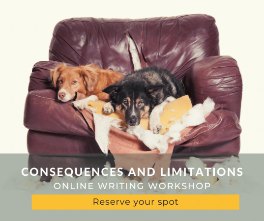 Join our online consequences and limitations workshop