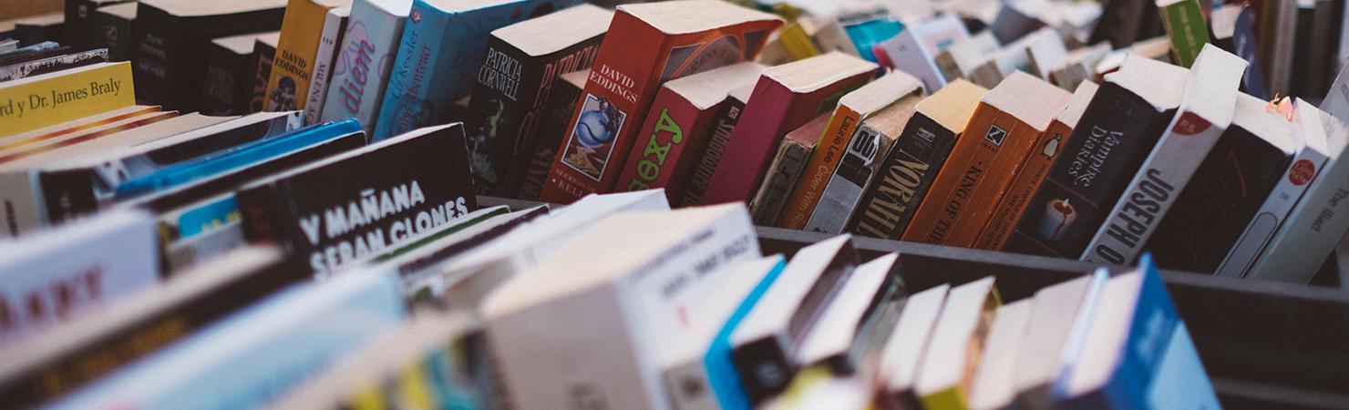 Should You Choose a Small Press Publisher?