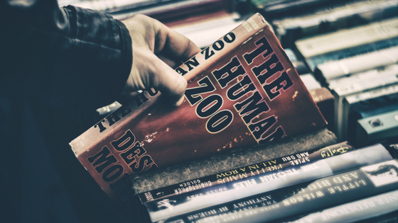 How do you know when your book is ready for an agent?